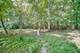 27250 N Meadowoods, Mettawa, IL 60048