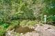 27250 N Meadowoods, Mettawa, IL 60048