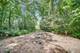 27250 N Meadowoods, Mettawa, IL 60048
