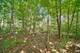 27250 N Meadowoods, Mettawa, IL 60048