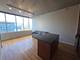 1720 S Michigan Unit 1106, Chicago, IL 60616