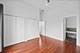 919 N Hermitage Unit 3, Chicago, IL 60622