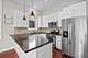 919 N Hermitage Unit 3, Chicago, IL 60622
