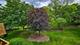 925 Spring Hill Unit 311, Northbrook, IL 60062