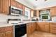 716 Kirkwood, Winthrop Harbor, IL 60096