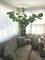 3438 N Oriole, Chicago, IL 60634