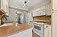 1219 Oak Ridge, Streamwood, IL 60107
