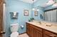 15527 Larkspur, Orland Park, IL 60462