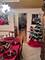 21372 Brittany, Frankfort, IL 60423