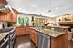 1 Regent Wood, Northfield, IL 60093