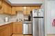 3208 N Seminary, Chicago, IL 60657