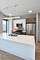 1025 W Addison Unit 534H, Chicago, IL 60613