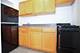 5419 S Harper Unit 311, Chicago, IL 60615