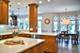 1028 Shady, Glen Ellyn, IL 60137