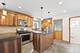 9100 S Ridgeway, Evergreen Park, IL 60805