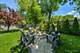 72 W Irving Park, Roselle, IL 60172