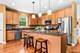 461 Mooresfield, Elgin, IL 60124