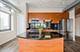 212 E Cullerton Unit 1204, Chicago, IL 60616