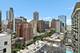 1150 N Lake Shore Unit 14K, Chicago, IL 60611