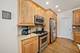 1553 Ashbury, Lemont, IL 60439