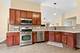 361 Grape Vine, Oswego, IL 60543