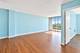 1043 S York Unit 409, Bensenville, IL 60106