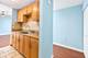 1043 S York Unit 409, Bensenville, IL 60106