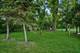 17W210 Massel, Bensenville, IL 60106