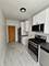 1642 W Albion Unit 2, Chicago, IL 60626