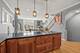 708 W Schubert Unit B, Chicago, IL 60614