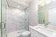 349 E 43rd, Chicago, IL 60653