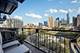 1601 S Michigan Unit 505, Chicago, IL 60616