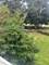 940 Beau Unit 209, Des Plaines, IL 60016