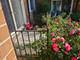 1903 Golf Unit 1B, Mount Prospect, IL 60056