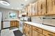 10145 Hyacinth, Orland Park, IL 60462
