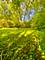 125 E Kimball, Woodstock, IL 60098