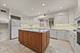 64 Locust, Winnetka, IL 60093