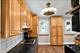 2444 Elm, River Grove, IL 60171