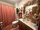520 Mcdonough, Joliet, IL 60436