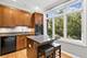 1351 W Altgeld Unit 4I, Chicago, IL 60614