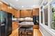 1351 W Altgeld Unit 4I, Chicago, IL 60614