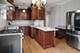 2317 East, Berwyn, IL 60402