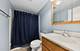 1817 Carlisle Unit 1817, Schaumburg, IL 60194