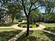 1331 S Finley Unit 213, Lombard, IL 60148