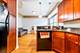 1120 Washington Unit 3B, Oak Park, IL 60302