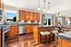 11423 Glenbrook, Plainfield, IL 60585