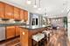 11423 Glenbrook, Plainfield, IL 60585