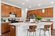 162 Waverly, Bloomingdale, IL 60108