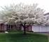 45 Willow, Cary, IL 60013