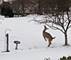 2105 Bent Tree, Geneva, IL 60134
